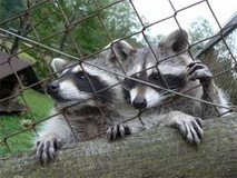 Tierpark Grünau